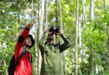Menjaga Hutan, Menjaga Nafas: Jejak Langgam untuk Masa Depan
